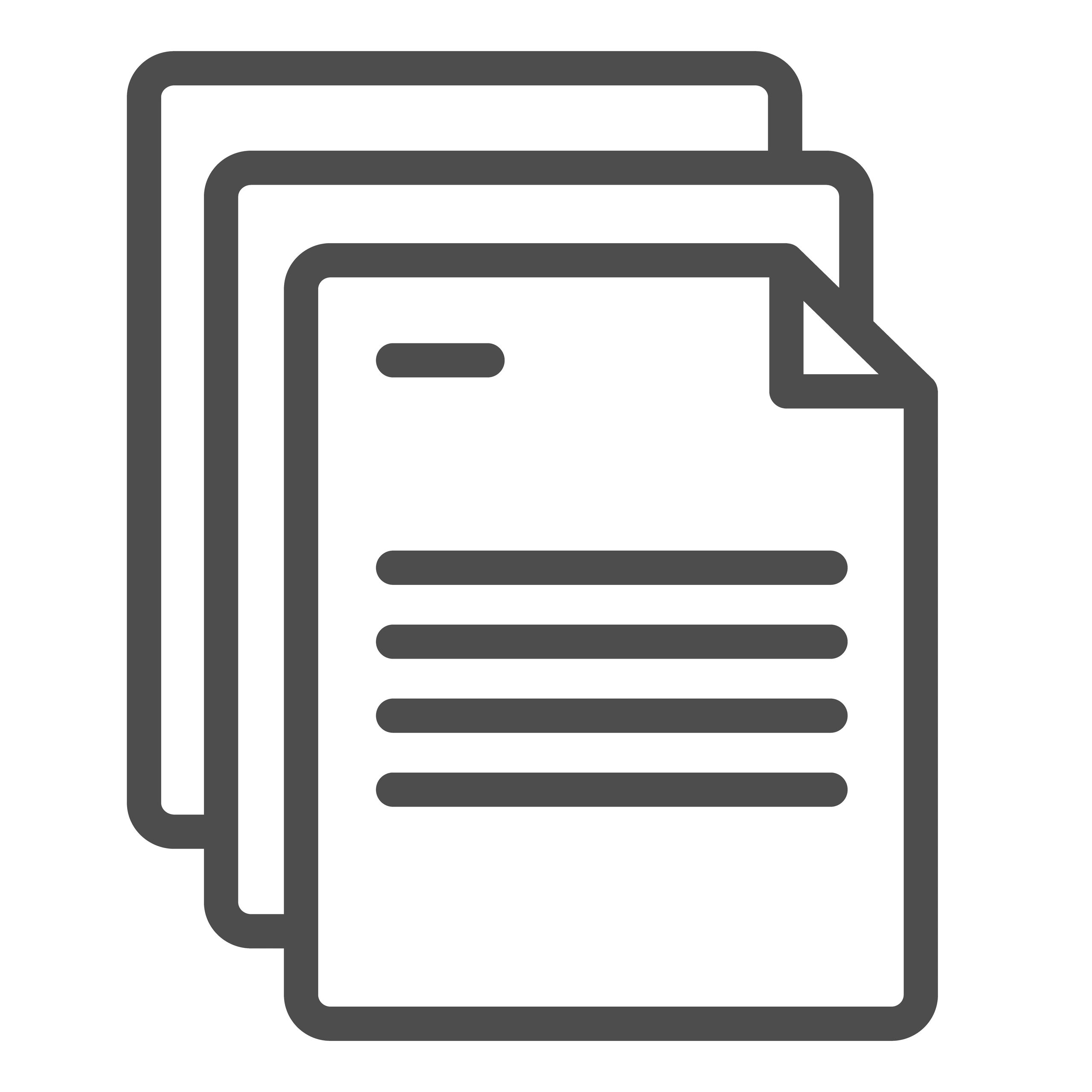document report icon