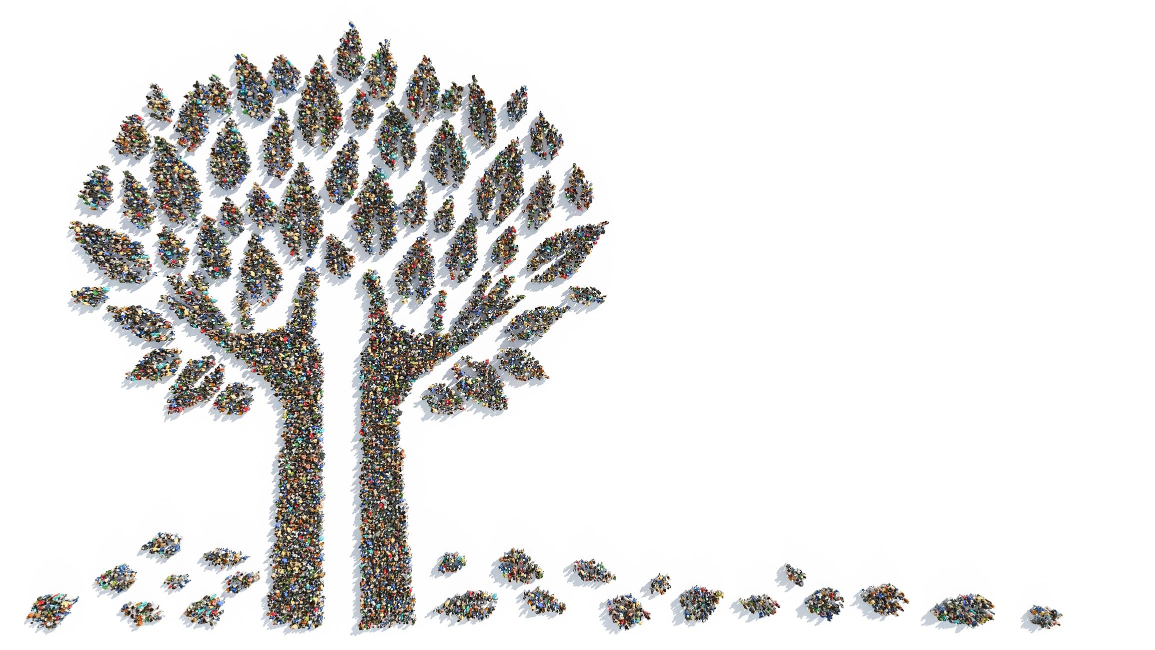 family tree research