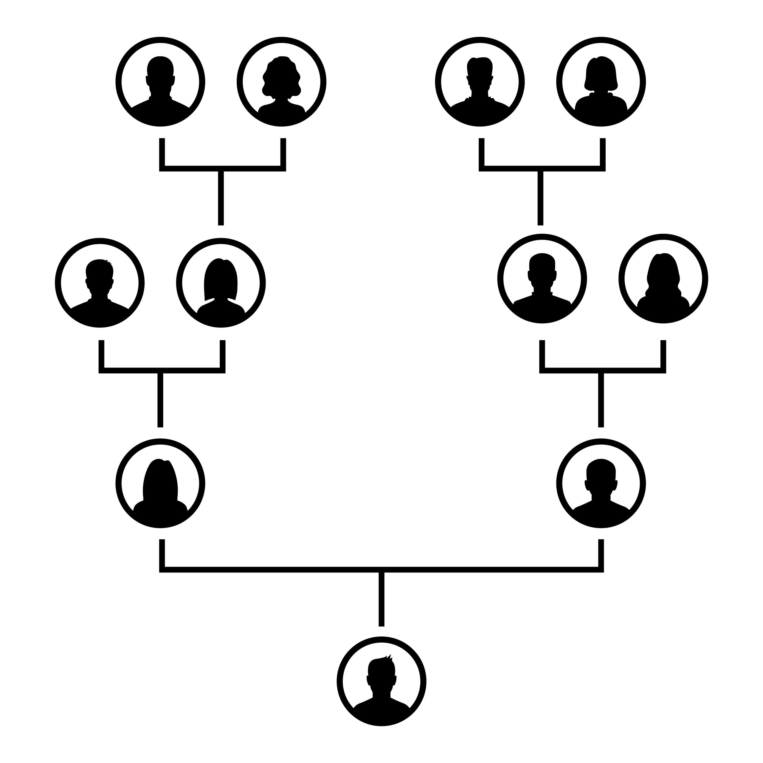 family tree icon