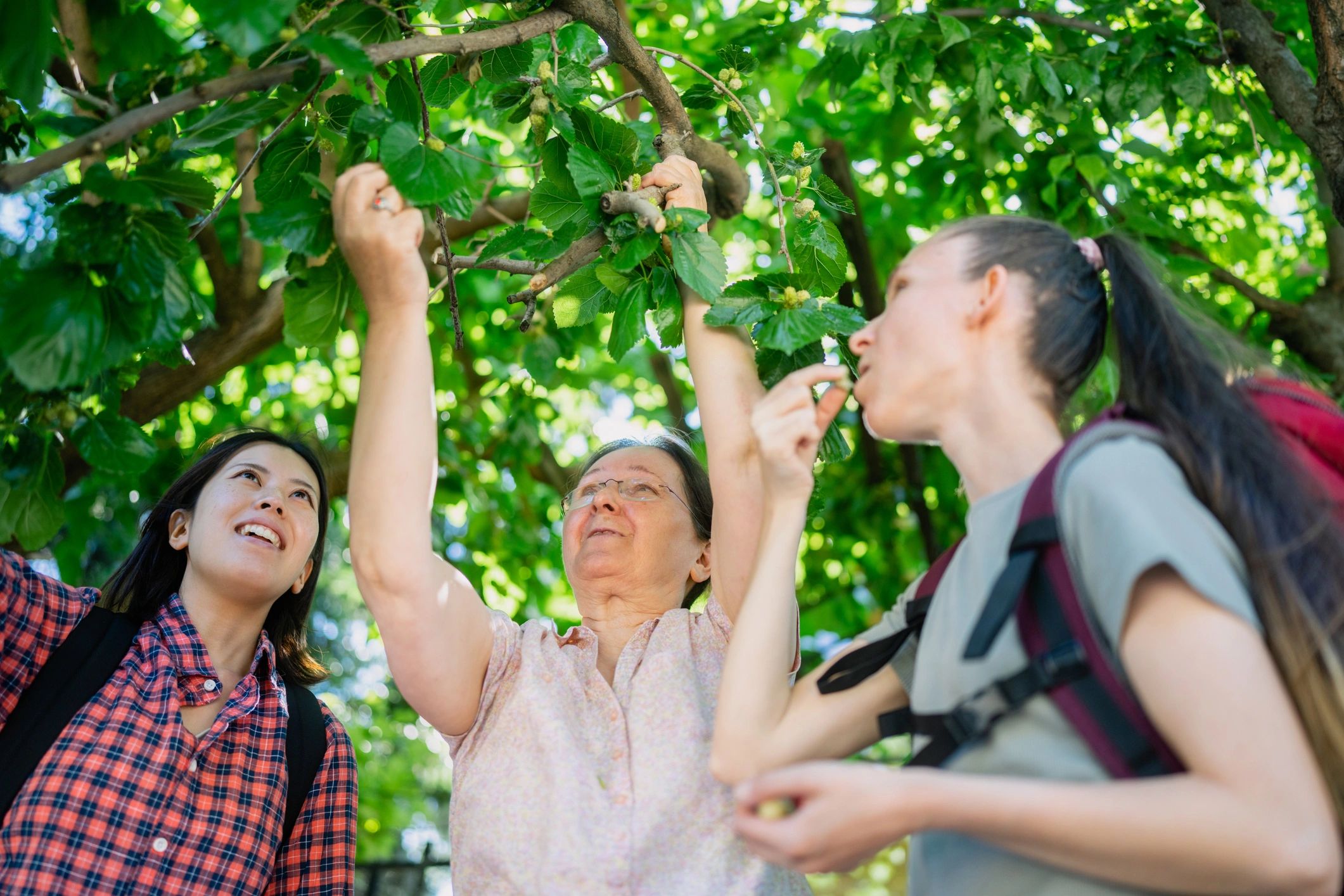 family tree research