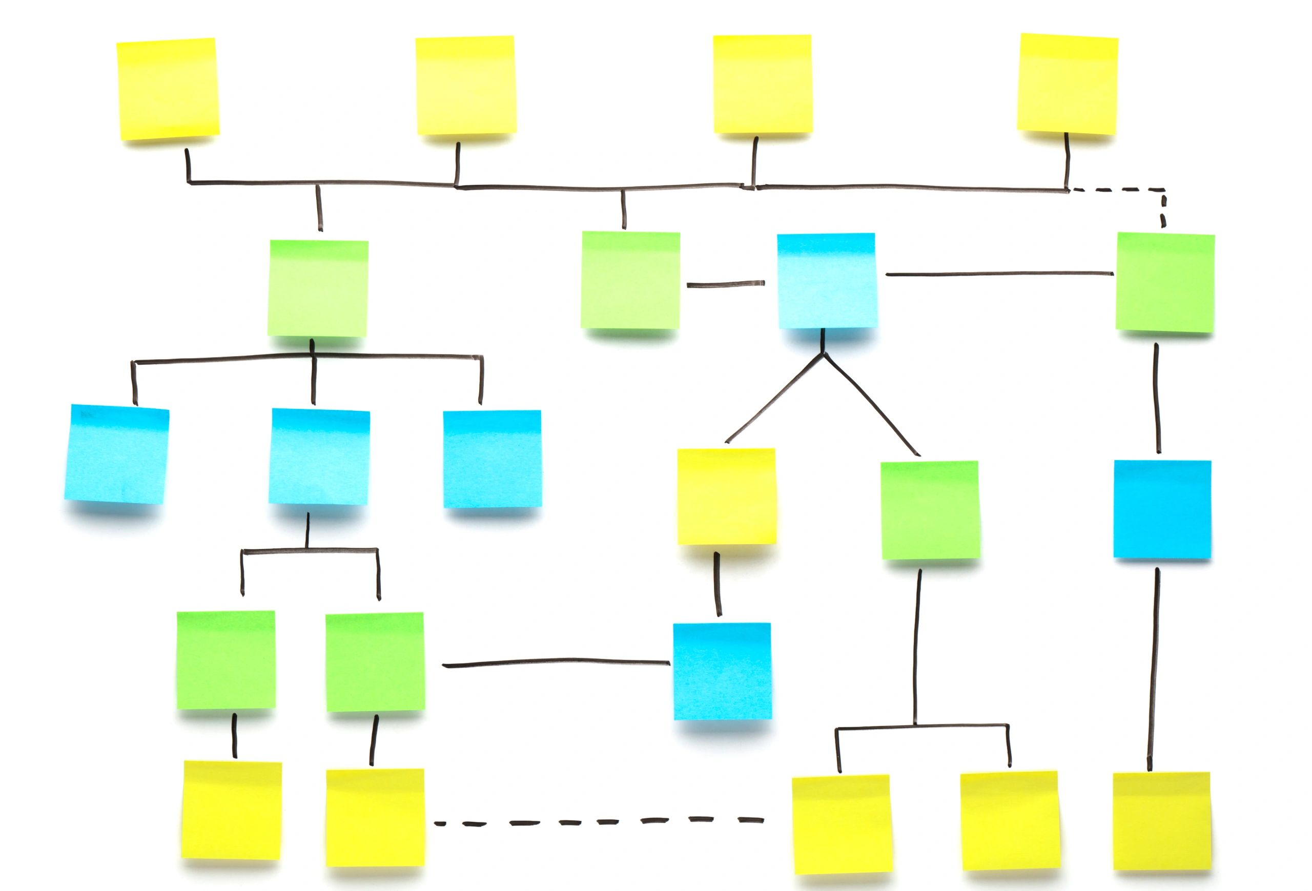 family tree research process
