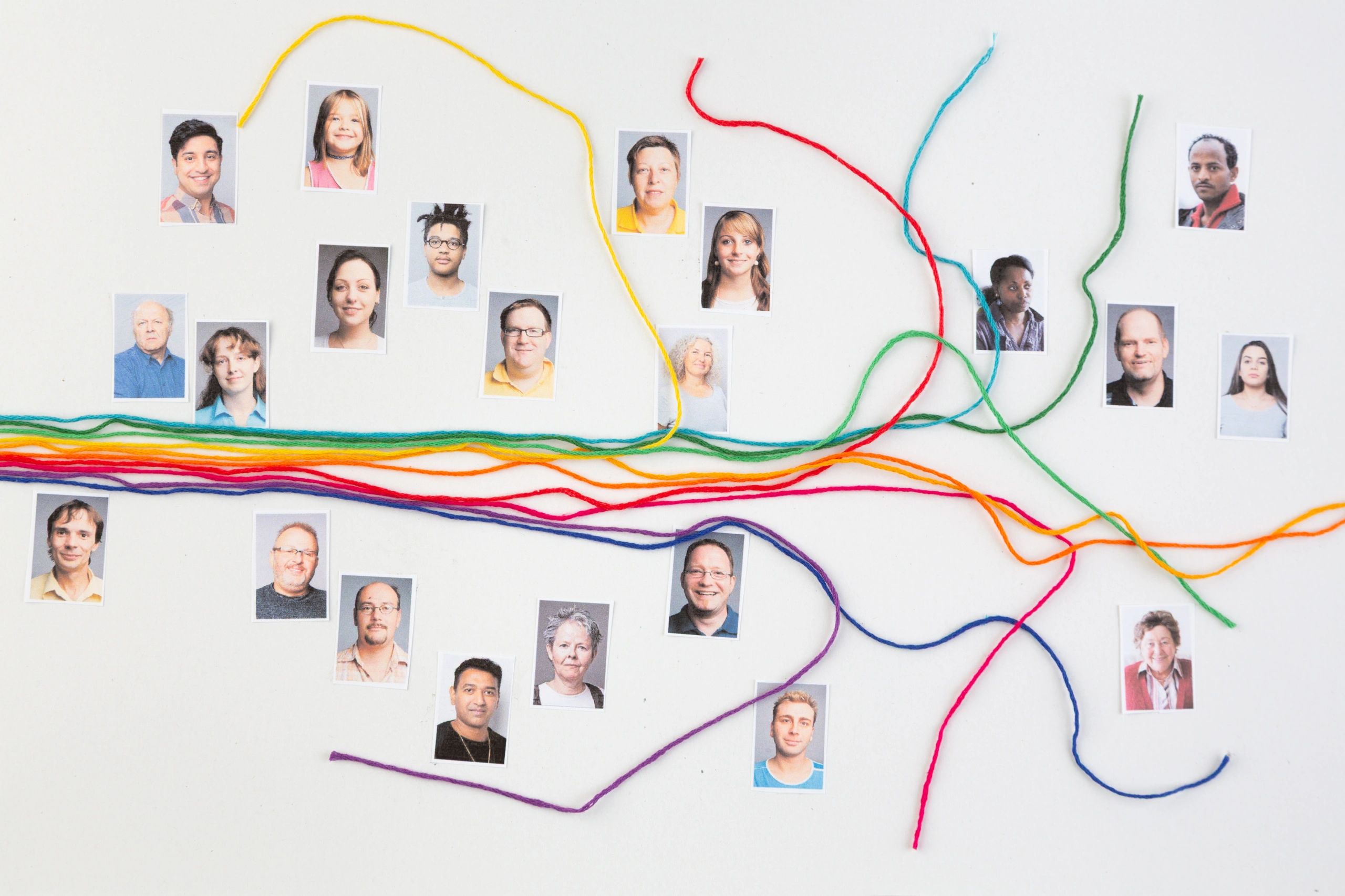 family tree research process